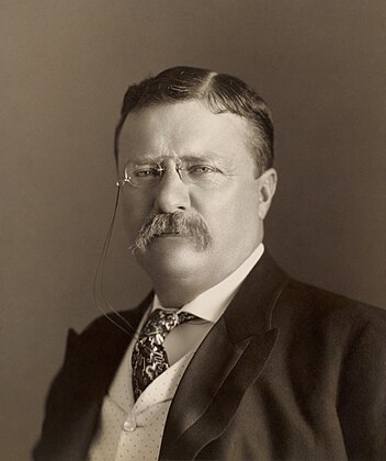 Theodore Roosevelt by the Pach Brothers, restored by Adam Cuerden