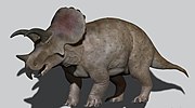 Miniatura para Triceratops horridus