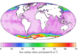 Годишна средна површина на морето „силициумска киселина“ (WOA 2009)