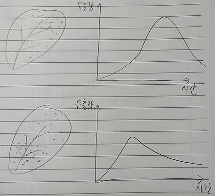 강우분포에 따른 유출량