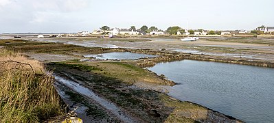 l'Anse du Pô et ses parcs ostréicoles à marée basse ; à l'arrière-plan le hameau du Pô.