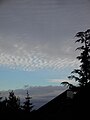 Altocumulus undulatus duplicatus