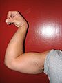 Et eksempel på en arm som er bøyd i pronert stilling; med biceps delvis sammentrukket.