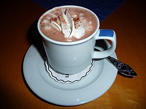 A cup of hot chocolate, with whipped cream, ci...