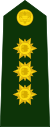 Колумбия-Армия-OF-7.svg