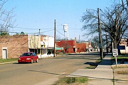 Cotton Plant – Veduta