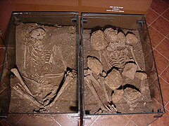 Sépulture comprenant un homme et une femme mise au jour à Mallaha. Musée de la Préhistoire de Haute-Galilée.