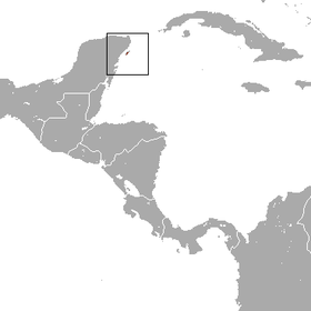 Distribución geográfica del vireo de Cozumel.