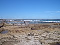 Cronulla Rock Pools.