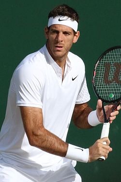 Juan Martin del Potro ve Wimbledonu 2016