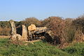 Dolmen d'Er-Roch-Vras