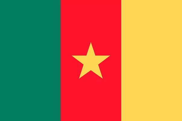 Fichier:Drapeau-Cameroun.webp