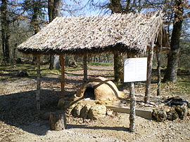 The prehistoric museum in Foissac