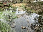 Hawkesley Farm moated site