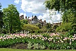 Chelsea Physic Garden