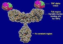 Infliximab