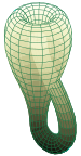 Klein bottle.svg