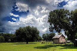 Lacoochee – Veduta