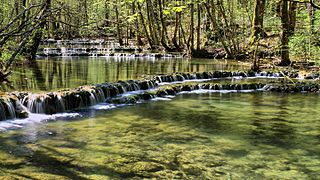 Série de nassis sur la Cuisance en amont de la cascade des Tufs.