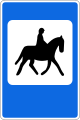 Horse track