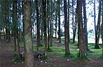 Miniatura para Parque nacional Macarao