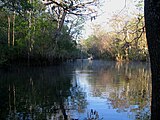 Manatee Springs State Park, The Spring Run