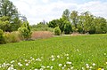 Talgraben im Stutzenweiher Balingen