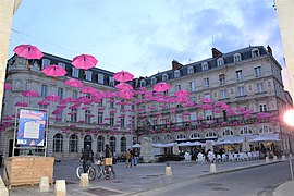 粉紅傘節 （2020年）