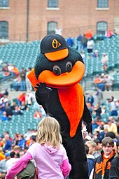 The "Oriole Bird", which has been the official mascot figure since April 6, 1979 Orioles Mascot.jpg
