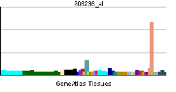 PBB GE SULT2A1 206293 at tn.png