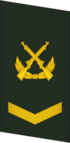 PLAGF-Collar-0704-SGT.png