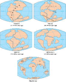 Pangaea to present.gif