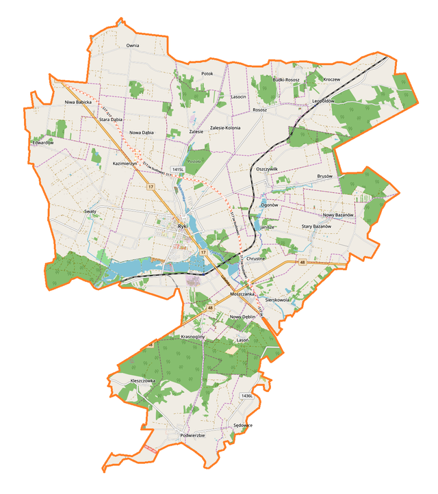 Mapa konturowa gminy Ryki, w centrum znajduje się punkt z opisem „Ryki”