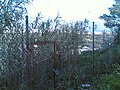 In the mid 1990s, the local police of Sabadell locked the fence so the locals could no longer cultivate their orchards on the cliffs of La Timba.