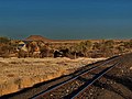 * Cat:Simplon (Namibia)