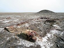 Remains of the ancient city of Lagash