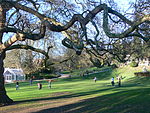 Terrace and Buccleuch Gardens