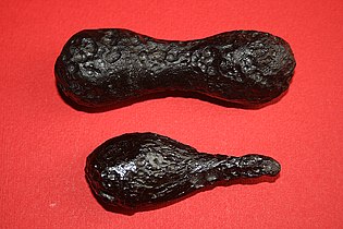 Two tektites, molten terrestrial ejecta from a meteorite impact