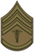 US Army OD Chevron Sergeant First Class Hospital Corps 1904-1918.png