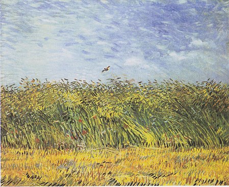 Wheat Field with a Lark, 1887, at Van Gogh Museum, Amsterdam, Netherlands (F310)