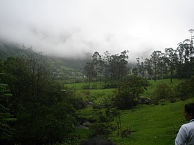 Puracé (Cauca)