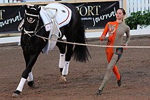 Theresa-Sophie Bresch beim Voltigieren unter Flutlicht auf dem Internationalen Pfingstturnier Wiesbaden 2013