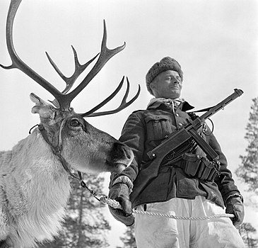 Фински војник у Лапонији (Настављени рат, 4. мај 1944)