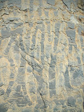 Stromatolithes du Paléoprotérozoïque de Namibie en Afrique.
