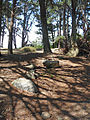 Dolmen de la Pointe de Liouse