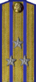 погон 1943