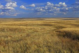 La steppe russe en automne, dans l'oblast d'Orenbourg.