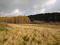 Parc national de Grande-Pologne