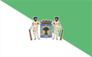 大加那利岛巴尔塞基略旗帜