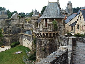 Felger / Fougères